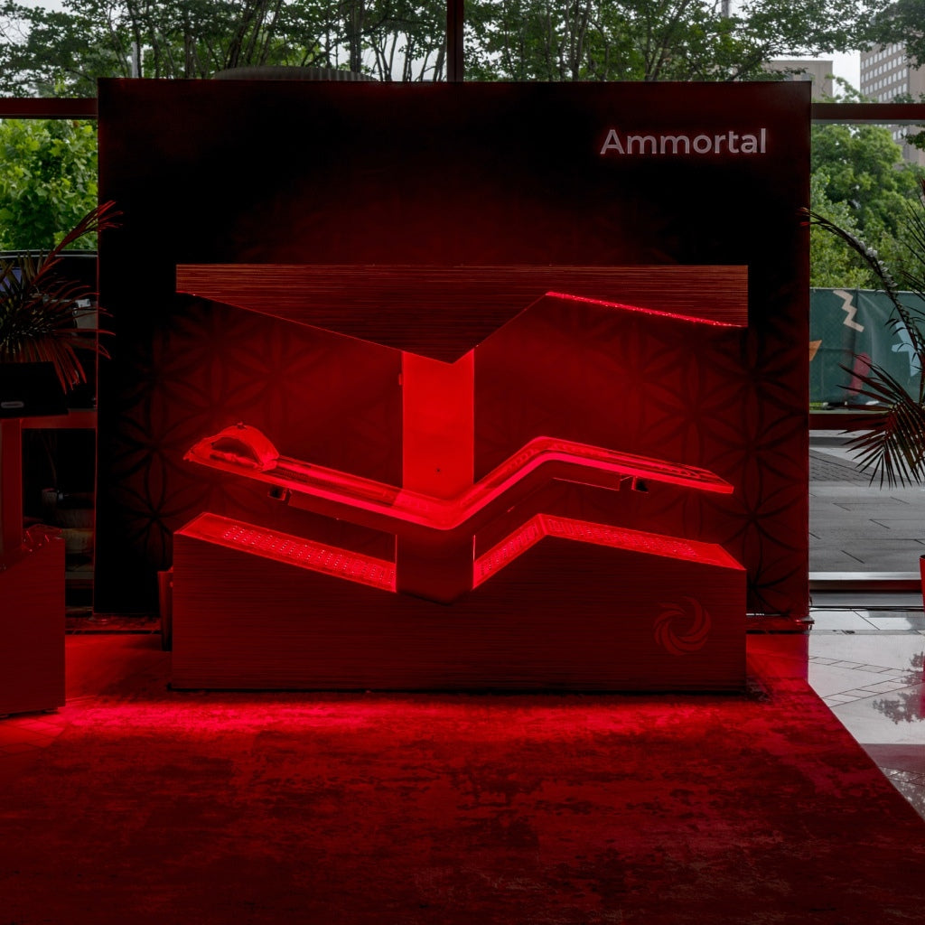 Ammortal Chamber Deposit