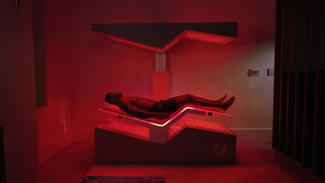 Ammortal Chamber